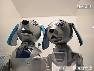 25 2010.05.31 關渡淡水行 機器人