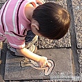 84 2010.05.31 關渡淡水行 淡水搭