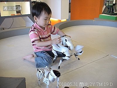 68  2010.05.31 關渡淡水行 機器人
