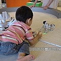 61  2010.05.31 關渡淡水行 機器人
