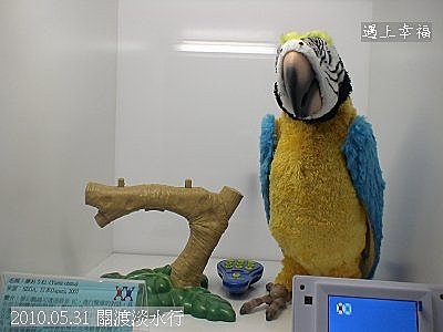 37 2010.05.31 關渡淡水行 機器人