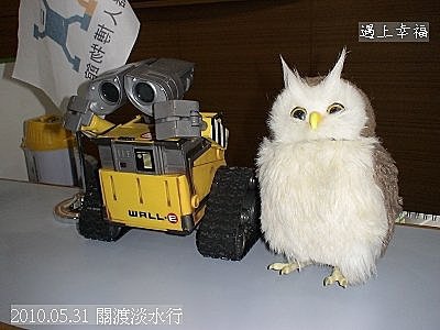 39 2010.05.31 關渡淡水行 機器人
