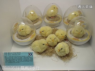 36 2010.05.31 關渡淡水行 機器人