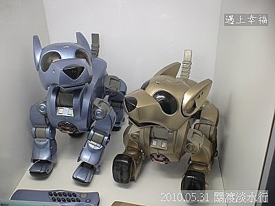 26 2010.05.31 關渡淡水行 機器人