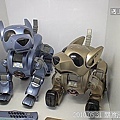 26 2010.05.31 關渡淡水行 機器人