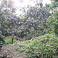 P1010048.jpg