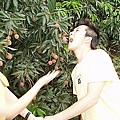 P1010077.jpg
