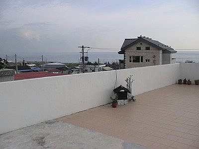 46.jpg