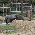 DSC00221.jpg