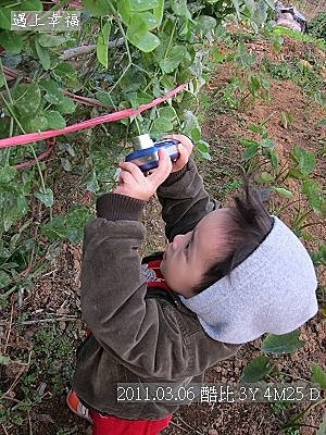 08-20110306 田間小路冒險去-9.jpg