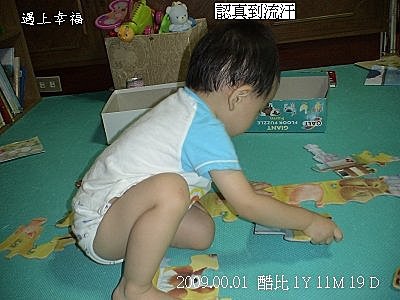 02酷比拼GALT地板拼圖.jpg