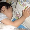 12 2010.05.25 可愛的酷比.jpg