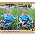 5酷比11M 龍山國小.jpg