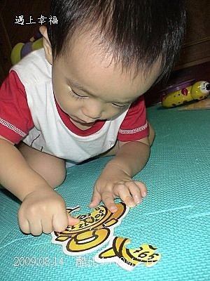 05酷比拼圖EDUCA.jpg