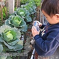 08 2010.12.29 小小攝影師05.jpg
