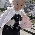 2騎腳踏車到公園兜風.jpg