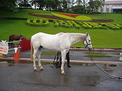 西湖-16.jpg