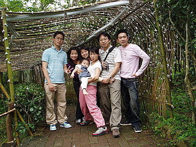 桐花下賞桐.jpg