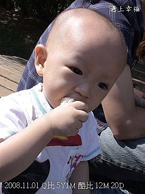 20中央大學餵魚.jpg