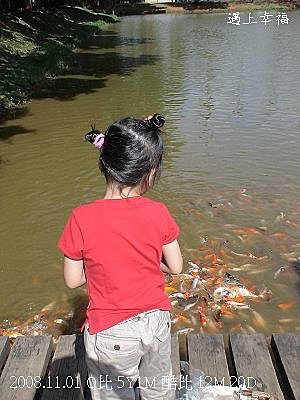 17中央大學餵魚.jpg
