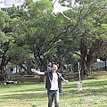 3中央大學放風箏.jpg