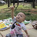 4中央大學放風箏.jpg