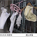 8布尿布.jpg