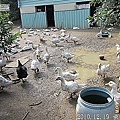 32 2010.12.19 快樂農場 28.jpg