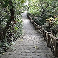 03 2010.06.14墾丁凱撒.jpg