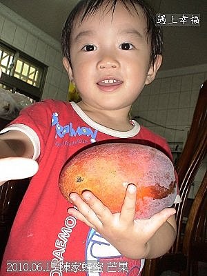52 2010.06.15 陳家芒果 .jpg