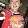 52 2010.06.15 陳家芒果 .jpg
