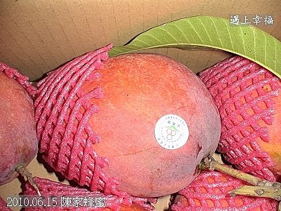 50 2010.06.15 陳家蜂蜜 .jpg