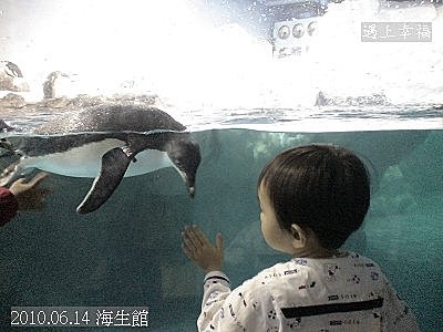 38 2010.06.14 海生館 .jpg