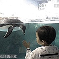 38 2010.06.14 海生館 .jpg