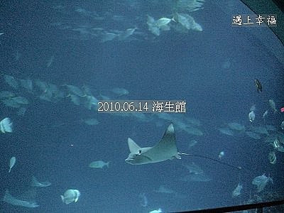 30 2010.06.14 海生館 .jpg