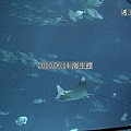 30 2010.06.14 海生館 .jpg
