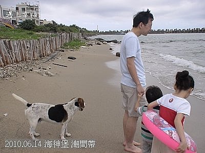 16 2010.06.14 海神堡 潮間帶.jpg