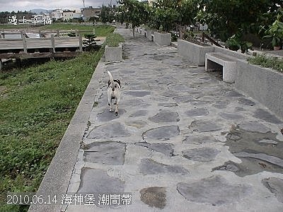 15 2010.06.14 海神堡 潮間帶.jpg