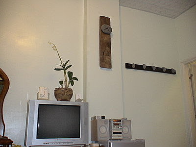50熊屋.jpg
