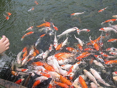 35瑞穗.jpg