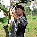 09 2010.11.21 新竹尖石採柿子 18-