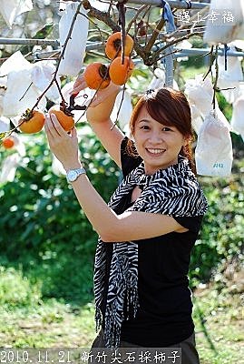 08 2010.11.21 新竹尖石採柿子 18.