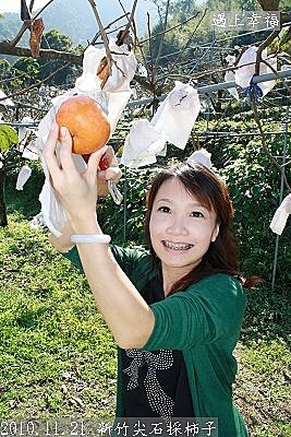 14 2010.11.21 新竹尖石採柿子 15.