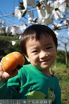 18 2010.11.21 新竹尖石採柿子 11.