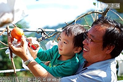 22 2010.11.21 新竹尖石採柿子 08.