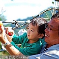 22 2010.11.21 新竹尖石採柿子 08.