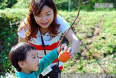 24 2010.11.21 新竹尖石採柿子 07-