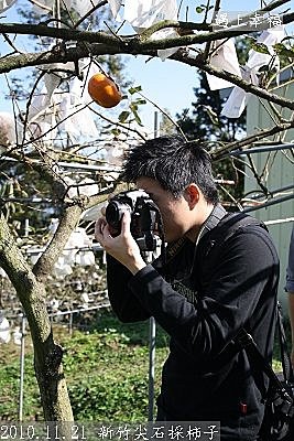 28 2010.11.21 新竹尖石採柿子 03.