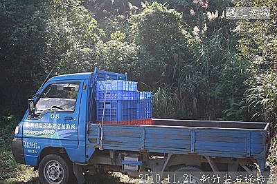 30 2010.11.21 新竹尖石採柿子 02.