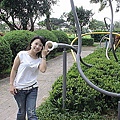 DSC00512.jpg
